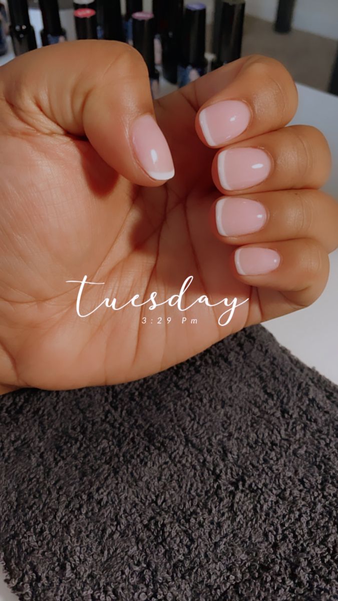 Chic Soft Pink and White French Tip Nail Design for Any Occasion.